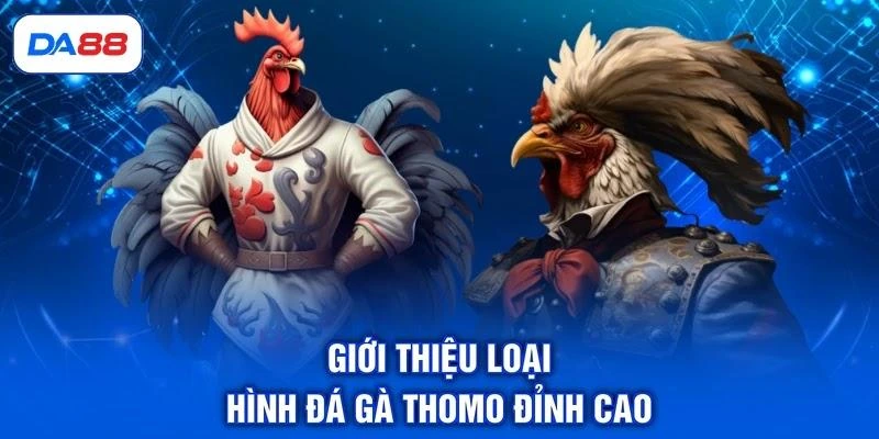 Giới thiệu loại hình đá gà Thomo đỉnh cao